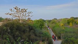 Aravalli Biodiversity Park in Gurgaon