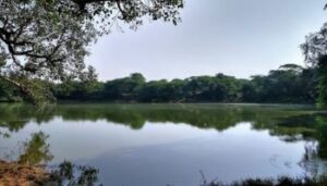 Lost Lake in Gurgaon