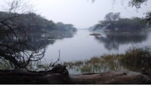 Sultanpur National Park in Gurgaon